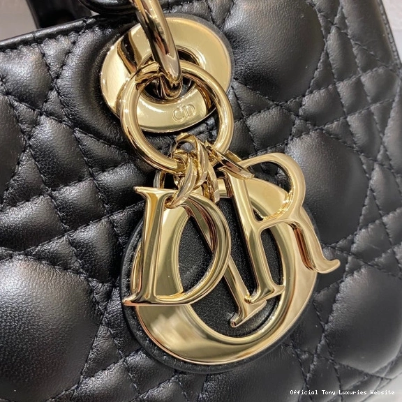 Tony Luxuries D-JOY BAG-26*13.5*5CM LADY diro 0816